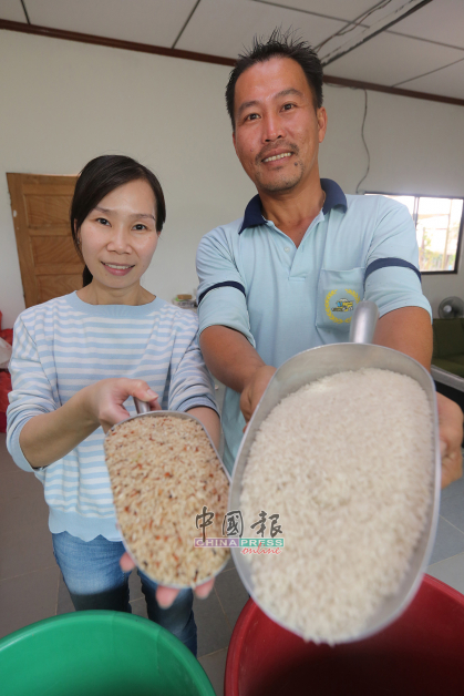 黄瑞杰（右）和妻子蓝雪菲，以活力农耕法种植的稻米品种有白米和香米（MRQ76）两种。