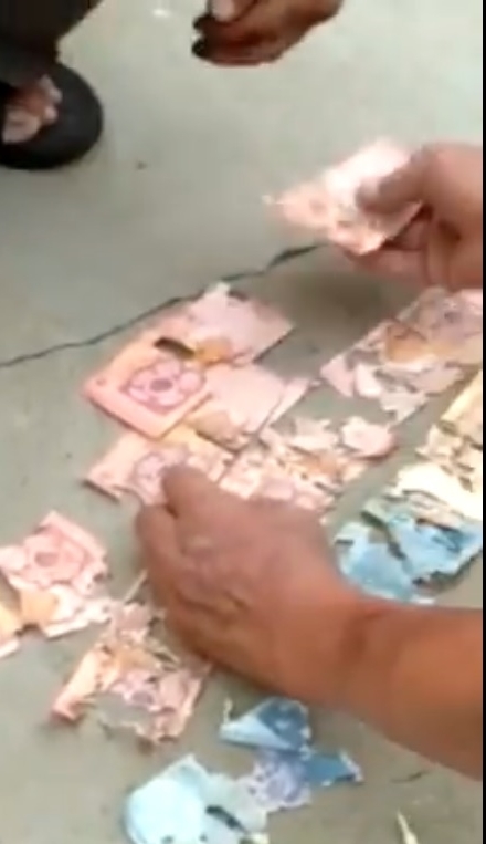 画面中，数人正整理尚未被白蚁啃食的钞票。