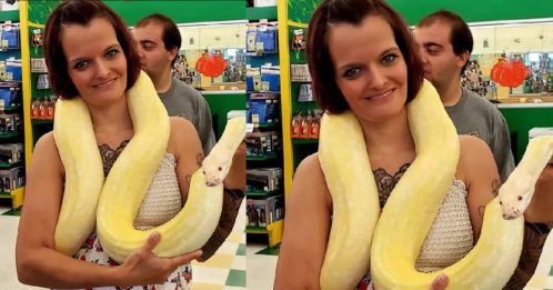 女子遭2.4公尺蟒蛇绕颈死 屋内藏140条蛇