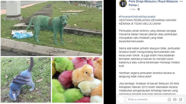 警方透过其官方面子书警告民众不再为这些流浪猫狗进行染色，否则将受到对付。
