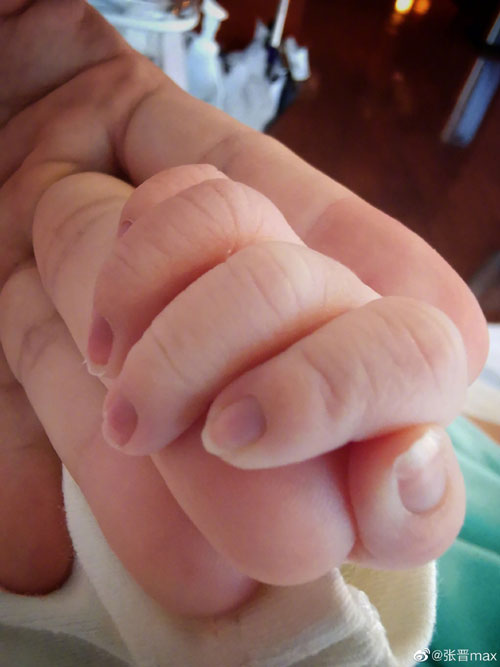 疑似张晋的手握着宝宝小手，两父子很有爱。（图：微博）