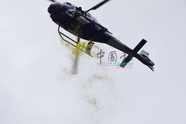 直升机从天空撒下花瓣，有如下花雨。