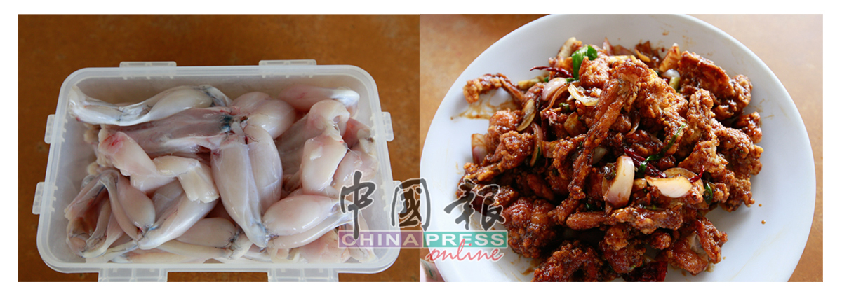 台湾牛蛙的身体没有任何肥油，宰杀后全是肉，肉质白里透红，入口软滑带有嚼劲。外酥内软宫保牛蛙十分惹味，下酒配饭皆宜。