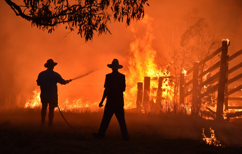在悉尼北部希爾斯維，居民周二試圖撲滅蔓延至民居的林火。（法新社）