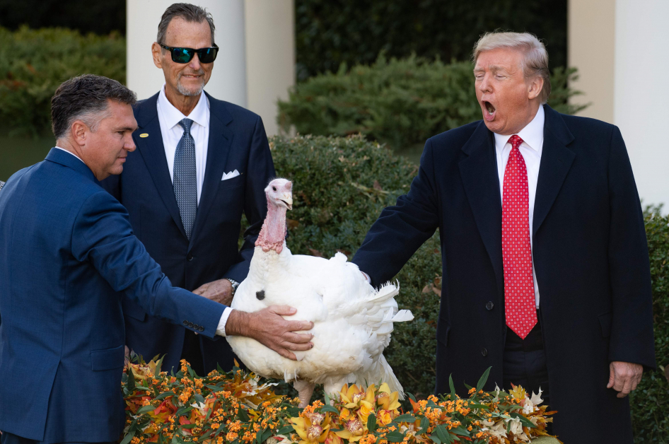 特朗普在白宫玫瑰园“赦免”火鸡，表情搞笑。（法新社）