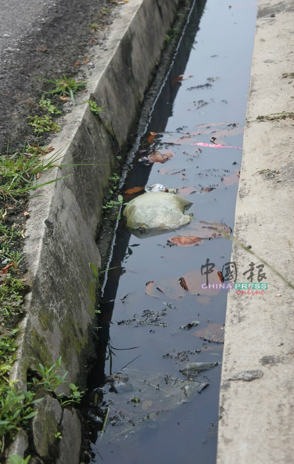 现有的沟渠因为之前设计问题，经常无法排水，积水生蚊。