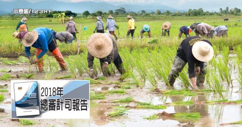 ◤2018年总审计司报告◢ 稻农获41.9亿津贴 收成竟还不达标