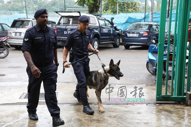 警方科学鉴证组及警犬队出动警犬到场搜证，寻获一把藏在木板下的凶刀。