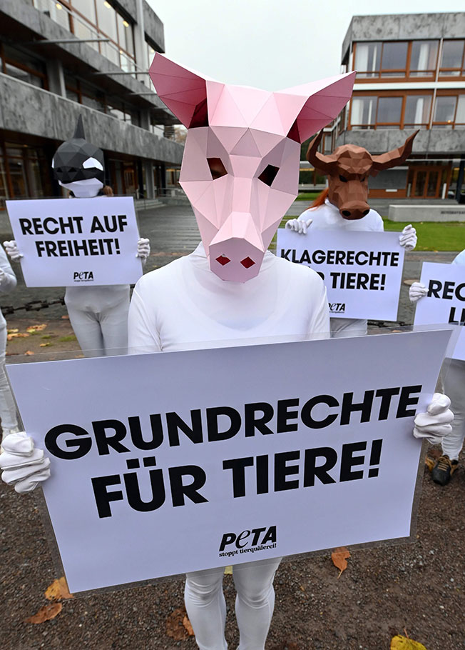 善待动物组织上月在德国联邦宪法法院外，穿戴各种动物头套，要求政府正视动物的权利。（法新社）