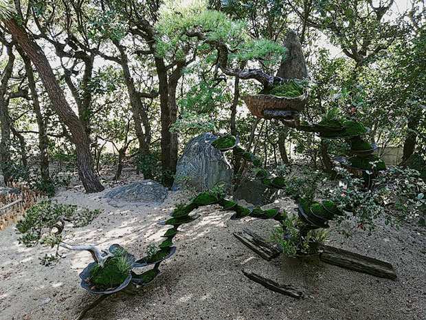 女木岛上日式民宅的 “盆栽深植”户外作品系列。