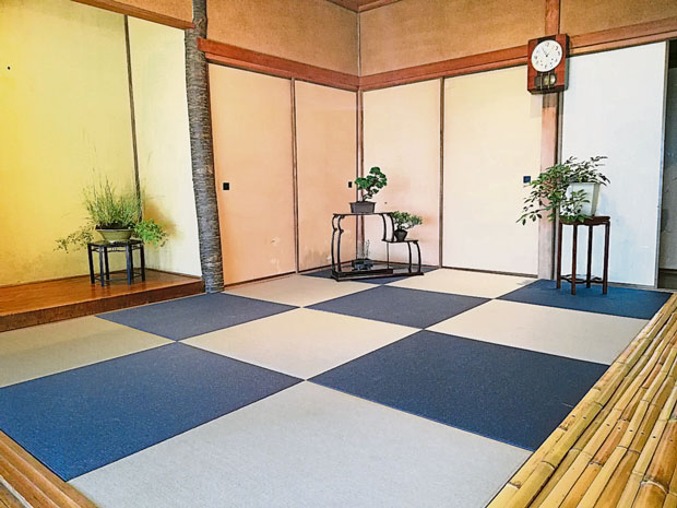 女木岛上日式民宅的“盆栽深植”室内作品系列。