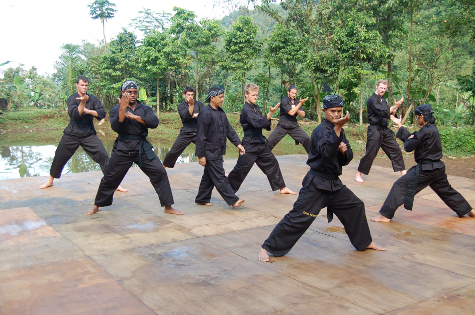 印尼传统武术