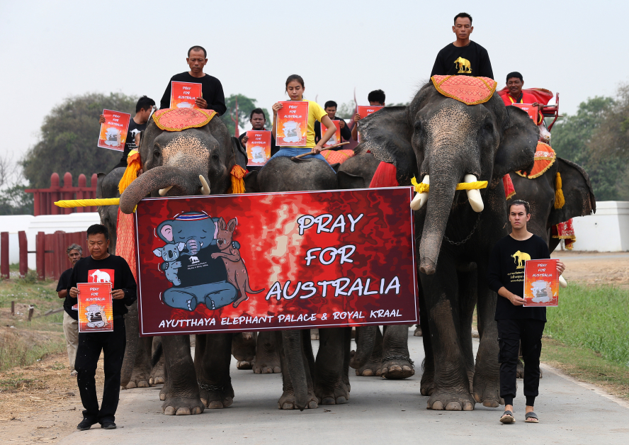 大象和驯象师持着“为澳洲祈祷”标语牌，边游行。（欧新社）