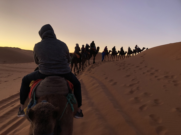 万众期待的撒哈拉沙漠体验。