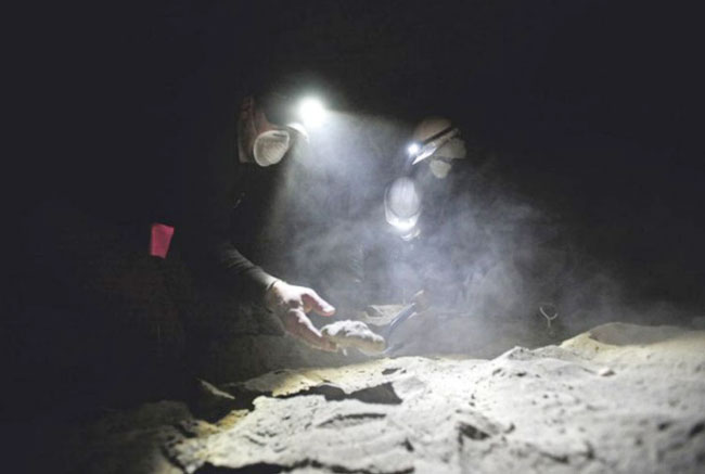 调查人员多次进入水牛洞蒐证，图为摄于2015年。