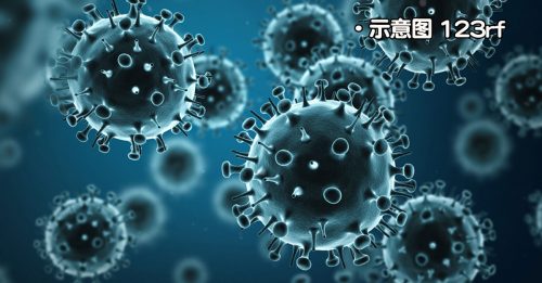 ◤流感来袭◢ 没发现新变种流感病毒 月内获近10万疫苗