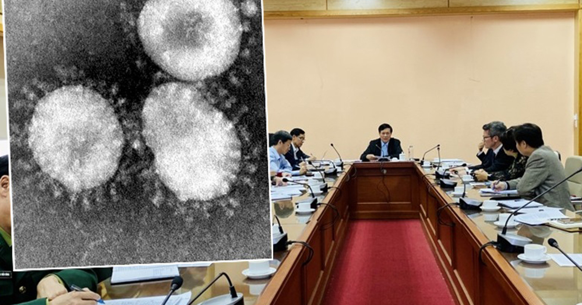 越南卫生部召开紧急会议，讨论预防和防治由新型冠状病毒（小图）引起的肺炎的新措施。
