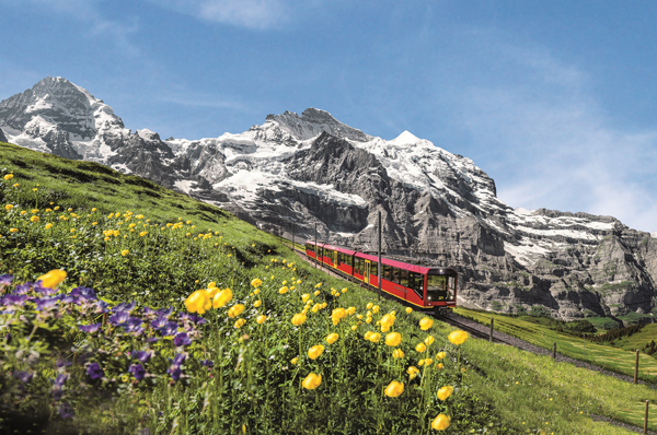 春光正好，一起走入瑞士的如诗如画里吧！