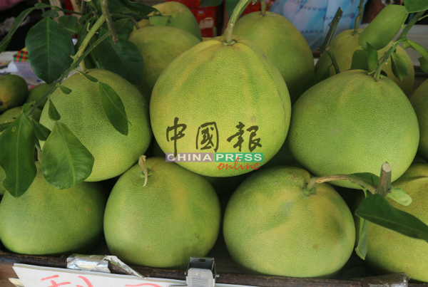 本地天气欠佳，也影响了柚子的产量。