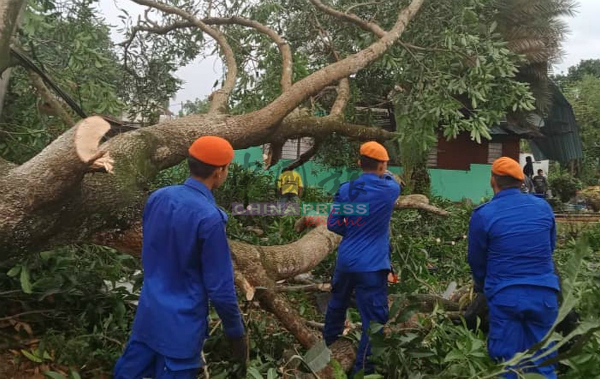 民防部队队员协助清理倒下的大树。