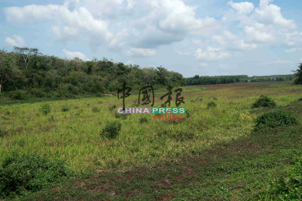 水坝干涸，过去的浩瀚水源今日已经成为草地。