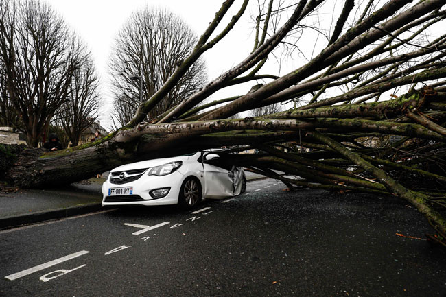 周日在法国卡昂，一辆轿车被倒下的大树压毁。（法新社）