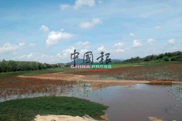 水坝多处露干涸见底，露出地面。