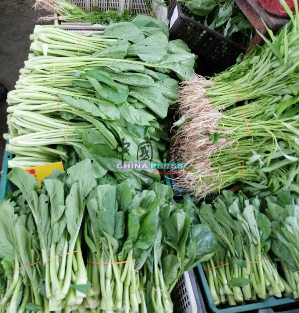 各类的本地蔬菜，足够应付市场的需求。