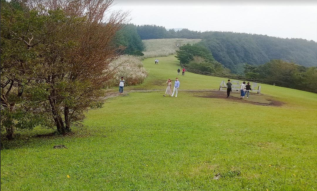 火山口旁的大草原有写着“山君不离”韩文的雕石，是旅客的打卡首选。(只可惜我不谙拍照，拍不清楚。)
