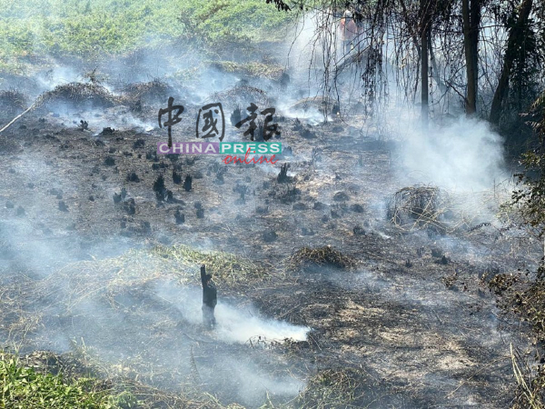 大约有2亩的丛林被烧。