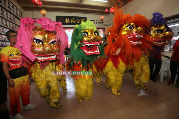 峇株巴辖茶阳会馆金狮队的北师，呈献精湛表演。
