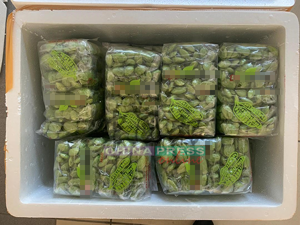 执法人员扣查一批臭豆，市值逾900令吉。