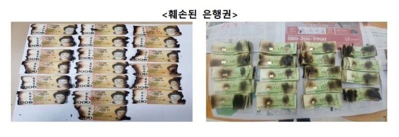 韩国有民众误信谣言，将钞票放入微波炉内加热消毒，导致多数钞票烧焦。