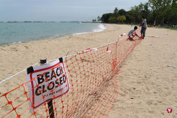 一群工人在东海岸公园插上“沙滩已经关闭”告示，再用绳子将沙滩围起，不让游人进入。