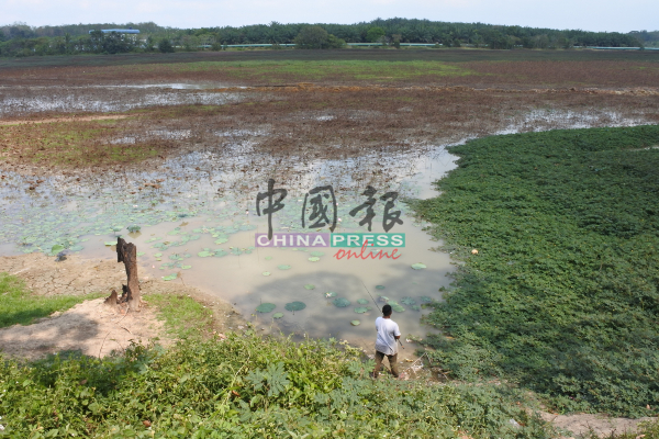 榴梿洞葛水坝的储水，曾一度跌剩廿多巴仙。