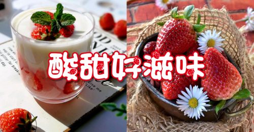 【乐活FUN享】草莓控必吃！