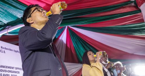 ◤全球大流行◢ 药草茶号称可治肺炎 马达加斯加总统当场喝