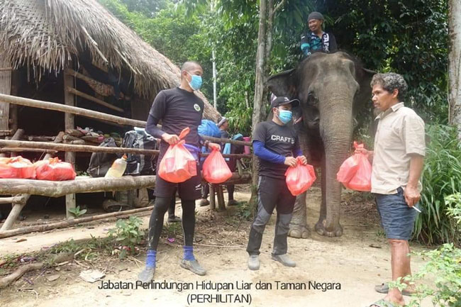 援助计划旨在帮助大象中心附近的居民。