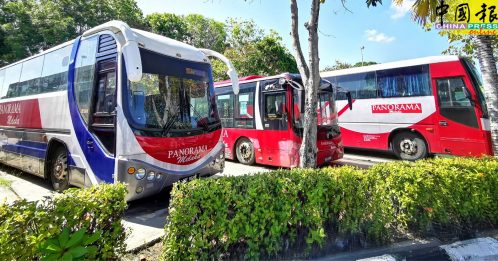 全景巴士照常载客  增往返麻坡及野新路线
