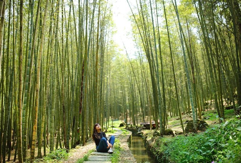 长源圳生态步道有着小溪流水衬竹的清幽感，适合各个年龄层前来森呼吸。