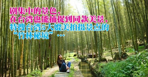 【旅游指南】台湾竹林秘境 穿越场景
