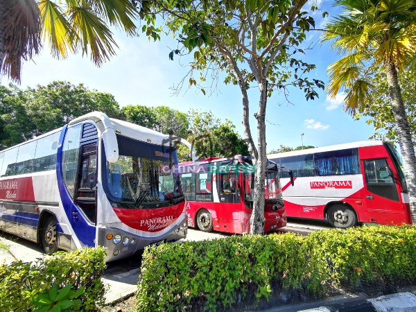 马六甲全景巴士公司将在管制期间照常载客，往返11个路线。