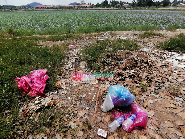 一些民众赏花后，把垃圾弃在聚水池旁，衍生卫生问题。