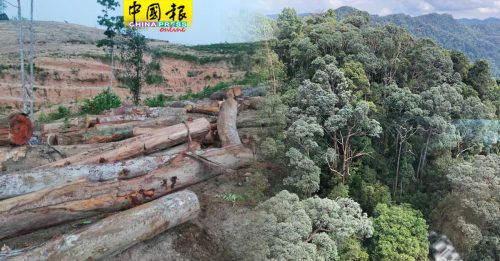 恢复伐木出卖人民  敦马：吉州资产正遭抢掠
