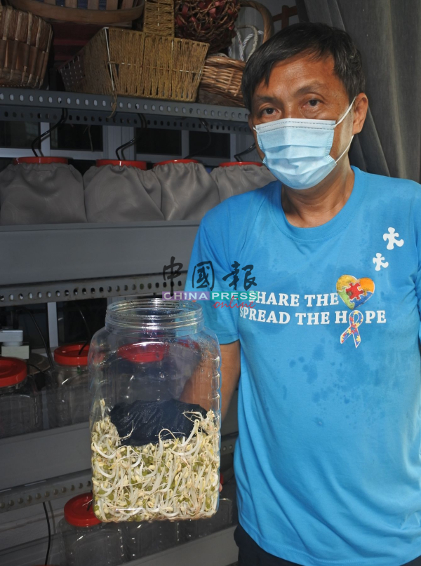 陈雄诚展示已培植3天的有机豆芽。
