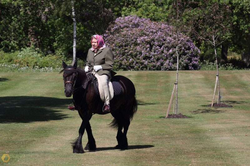 英国王室的推特公开女王伊莉莎白二世骑马的照片，这是自隔离以来，女王首度在公众场合露面。