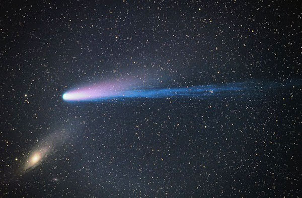 “池谷－张彗星”档案照。