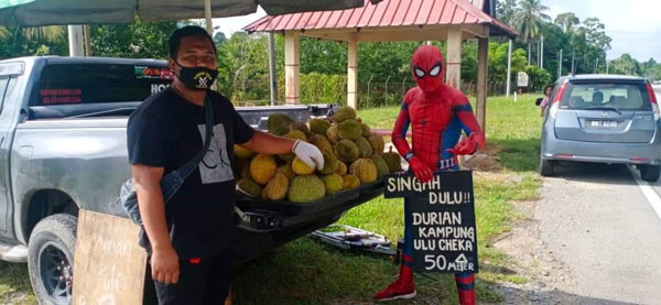 超级英雄“蜘蛛侠”在甘孟油站附近的路旁售卖榴梿，非常吸睛。