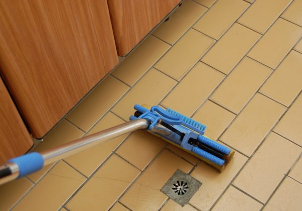 地板经常清洁，就能去除蚂蚁残留的气味。