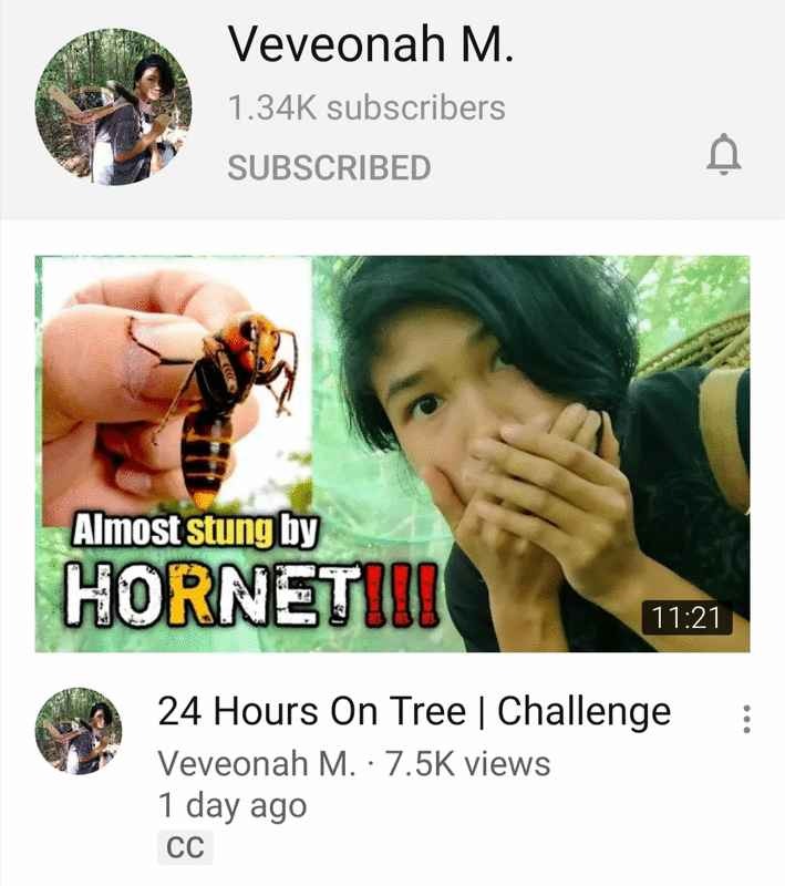 薇薇奧娜在樹上赴考的視頻獲得好評。
